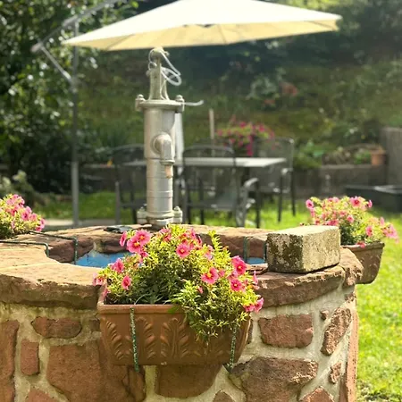 Ernst Im Herzen Des Pfaelzerwaldes Apartament Elmstein