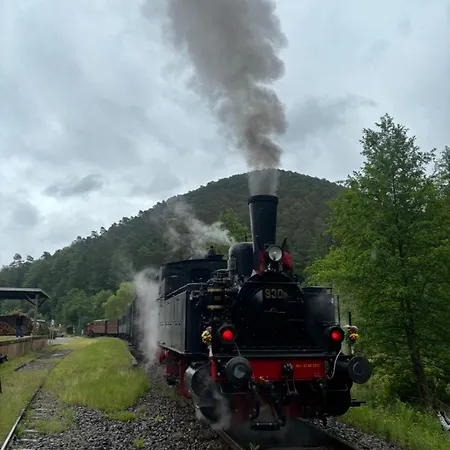 Ernst Im Herzen Des Pfaelzerwaldes